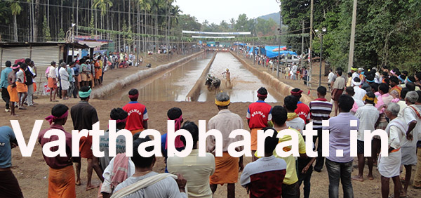 ಮೂಡುಬಿದಿರೆ : ಕೆಲ್ಲಪುತ್ತಿಗೆಯಲ್ಲಿ 18ನೇ ವರ್ಷದ ಸುರ್ಯ-ಚಂದ್ರ ಜೋಡುಕರೆ ಕಂಬಳಕ್ಕೆ ಚಾಲನೆ